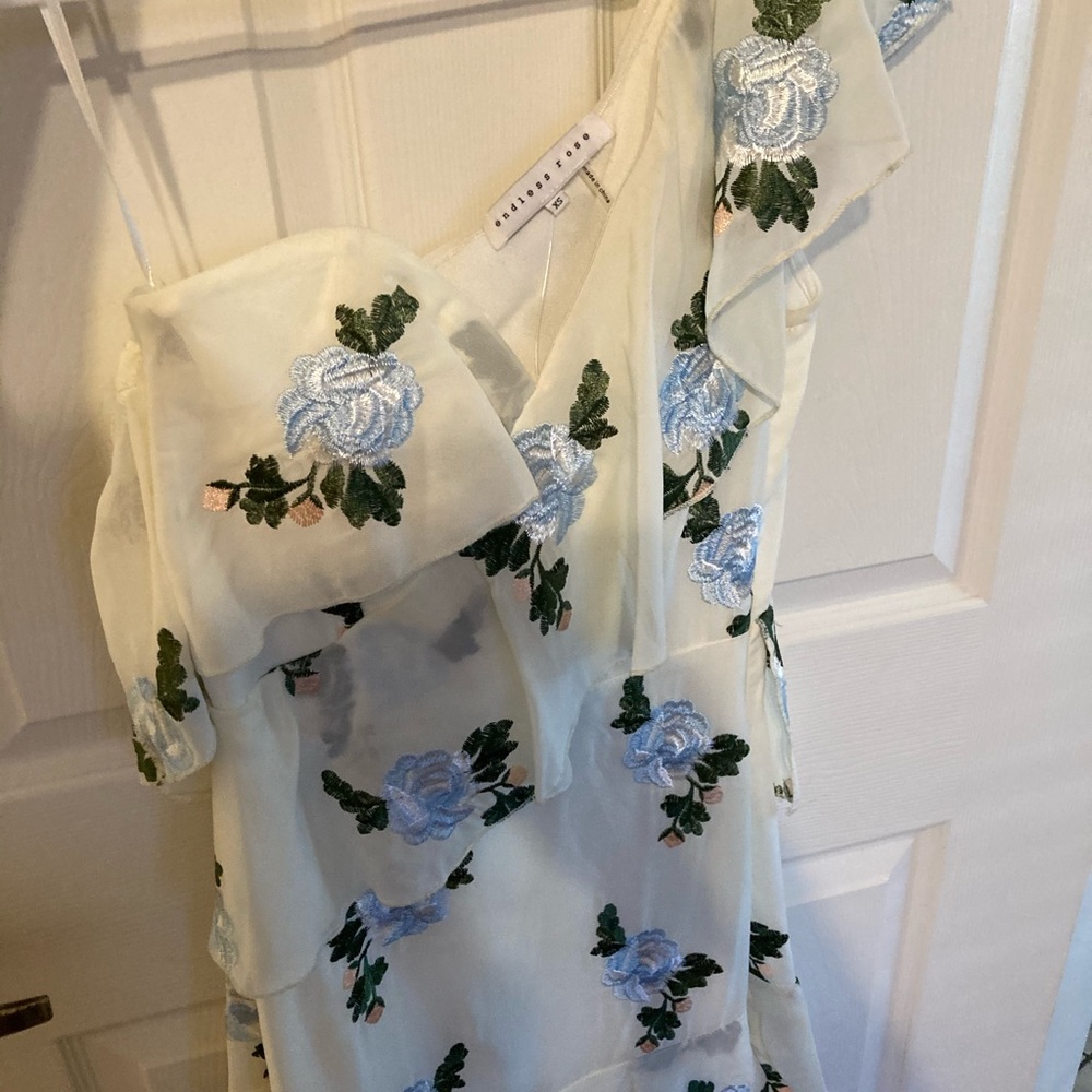 Beautiful Endless Rose dress tags on